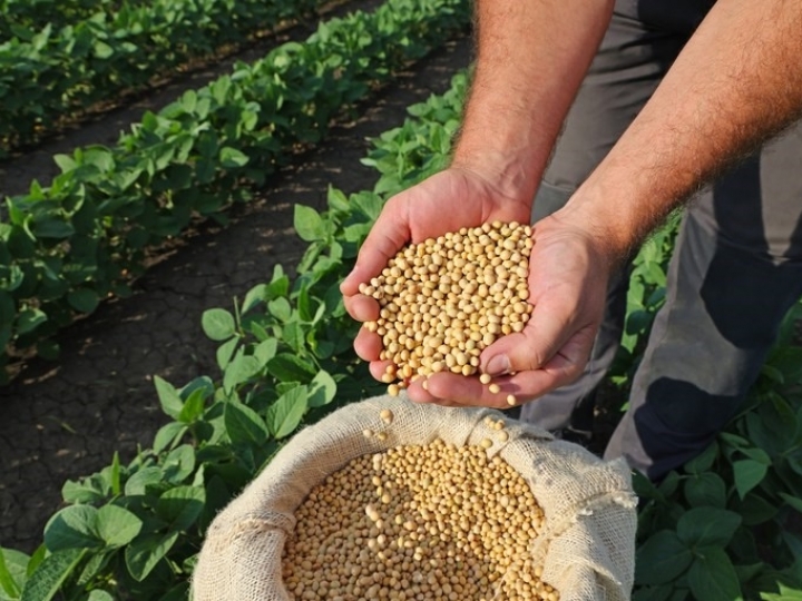 Selo Biocombustível Social promove a inclusão e capacitação técnica de agricultores familiares
