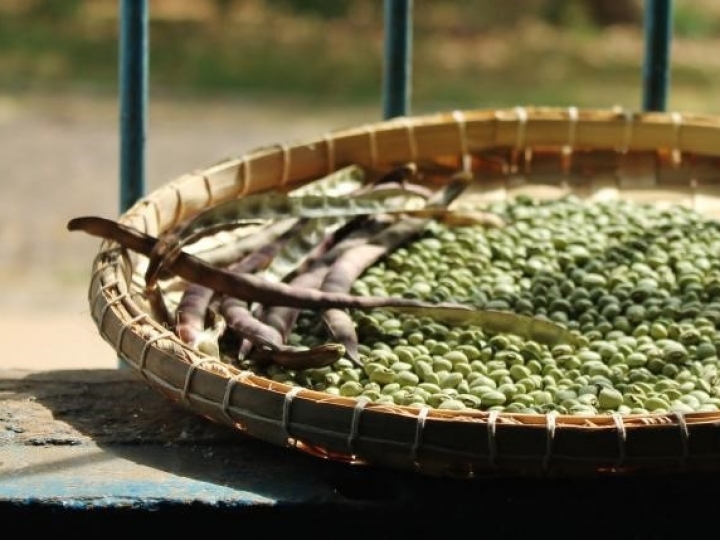 Lista de agosto dos produtos com direito a bônus do PGPAF está disponível