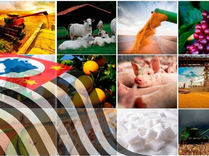 Valor da produção agropecuária paulista chega a R$ 125,84 bilhões em 2021, índice 28,64% superior em relação a 2020