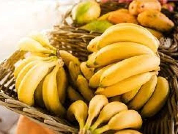 Alimentação saudável para Festa do Peão de Barretos 