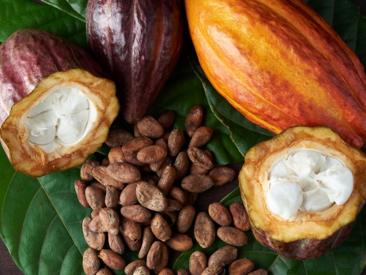 Chocolat Amazônia começa nesta quinta-feira em Belém