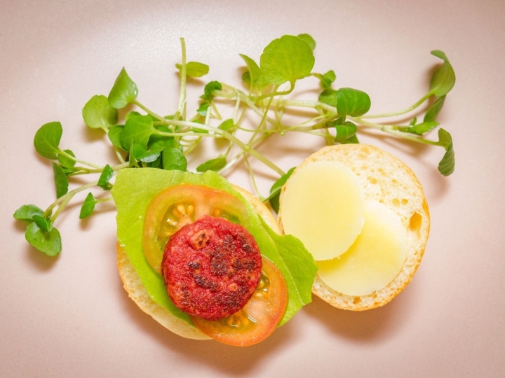 Mercado de carne cultivada avança na América Latina