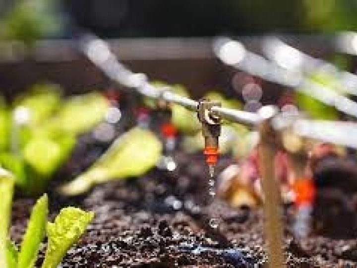 Feira destaca o potencial goiano para a irrigação agrícola