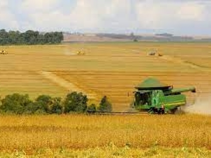 Produção de grãos é recorde na safra 2021/22 estimada em 271,2 milhões de toneladas