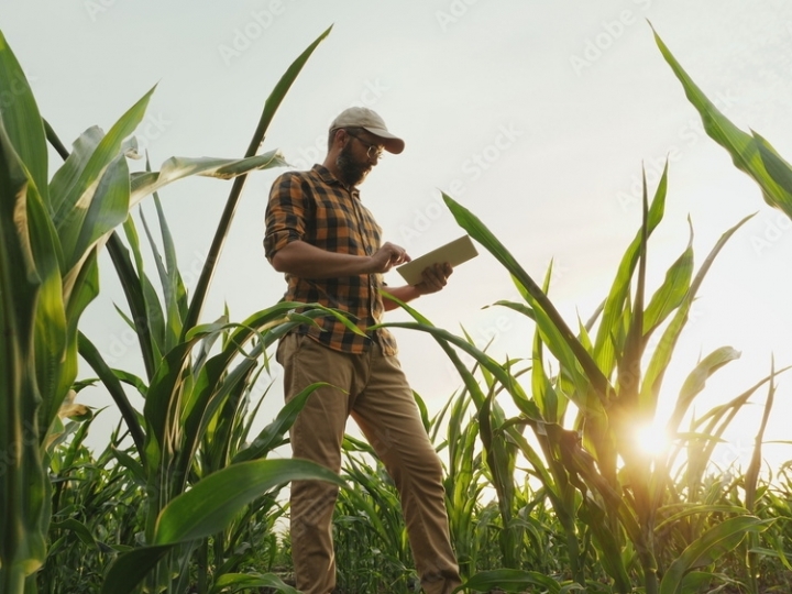 Produtores rurais estão cada vez mais adeptos ao e-commerce