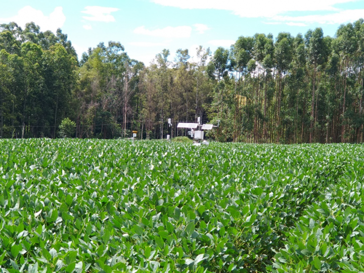 Plantio direto pode aumentar em 11% a eficiência do uso de água na cultura da soja