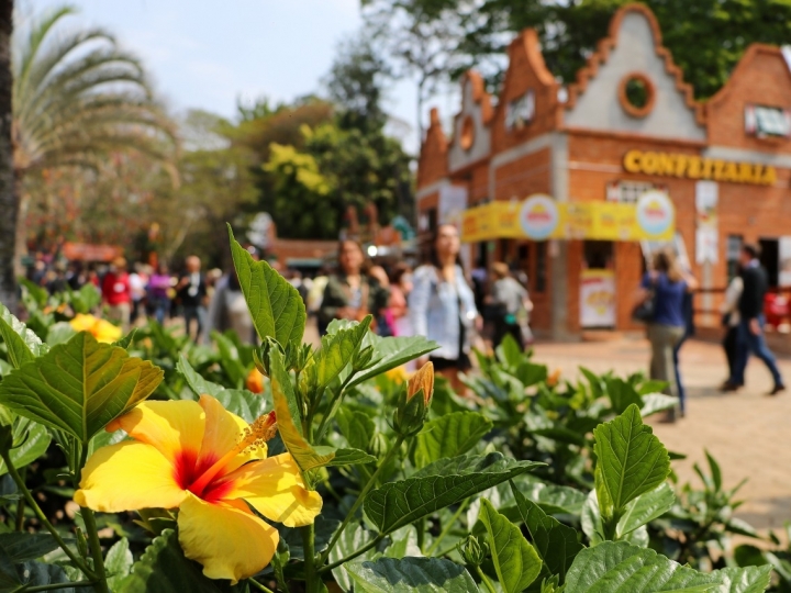 Expoflora deve injetar R$ 200 milhões na economia da região de Holambra