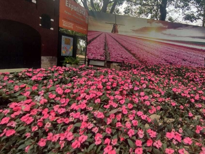 Expoflora assegura respeito à sustentabilidade