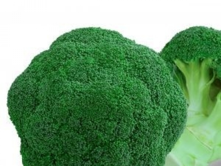 Consumo de brócolis avança no País e produtor tem opção de variedade que pode ser plantada o ano inteiro