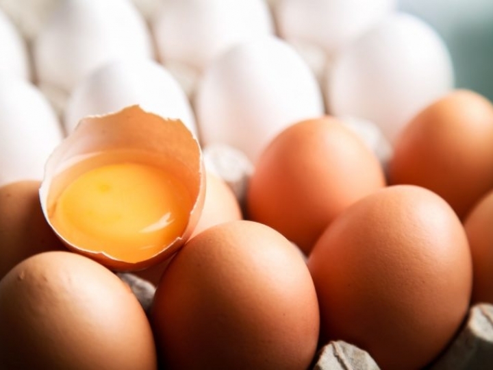 Receita de exportações de ovos cresce 61,7% em 2022