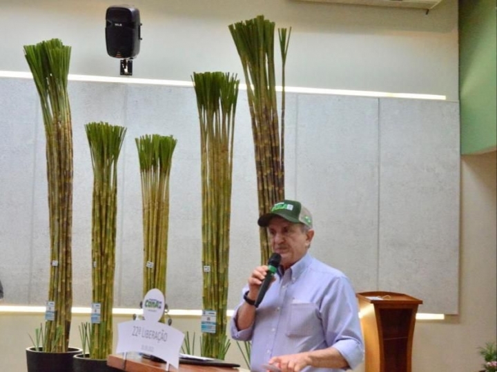IAC lança cinco variedades de cana com alta produtividade e adaptação a diversas regiões