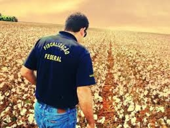 Auditores agropecuários se manifestam contra desmonte e fragilização da carreira