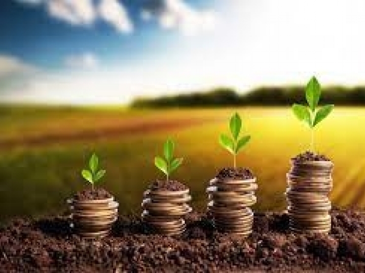 Crédito contratado pelo Plano Safra supera R$ 115 bilhões