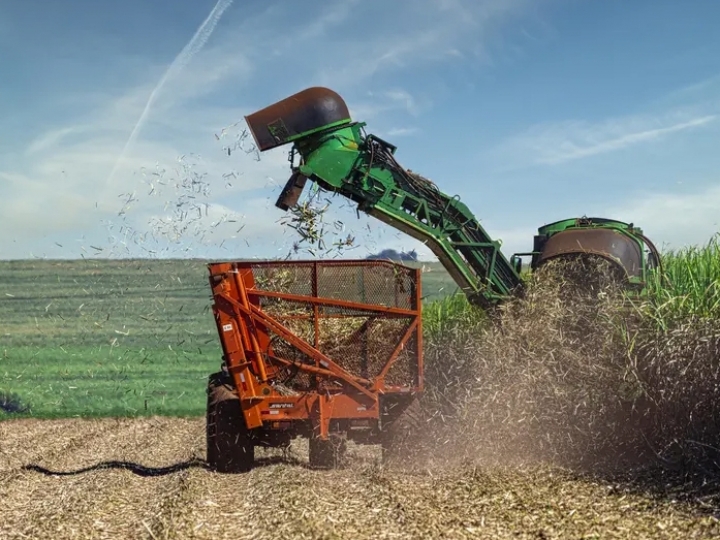 Agropecuária Iracema: Crescimento contundente na moagem de cana no Centro-Sul