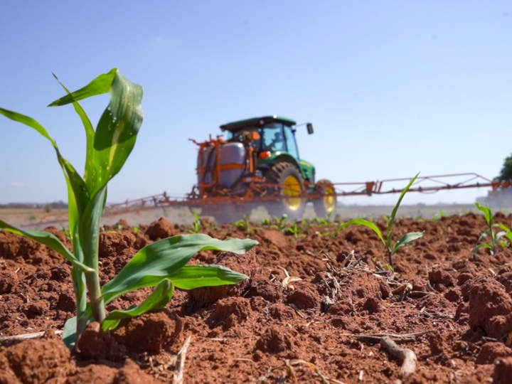 Bioinseticidas elevam índices de controle da Spodoptera frugiperda e fomentam produtividade 