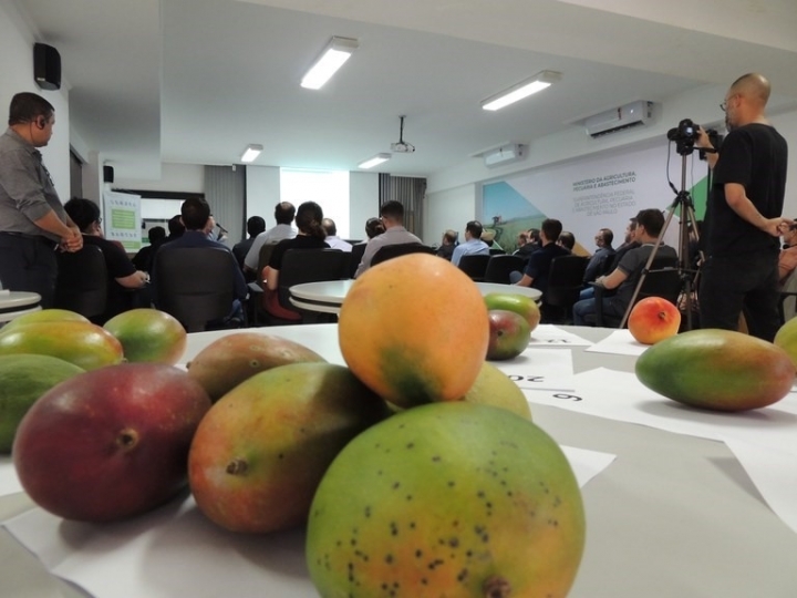 Fiscais do Mapa poderão certificar frutas e hortaliças para países da OCDE