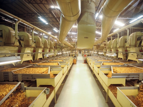 Fotos: Banco de Imagens SindiTabaco