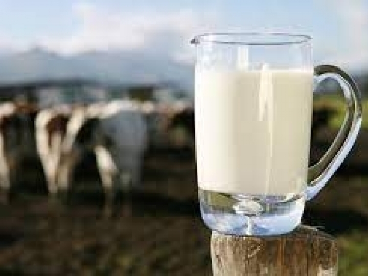 Ação de voluntariado da Raízen arrecada 600 litros de leite para fundos sociais da região