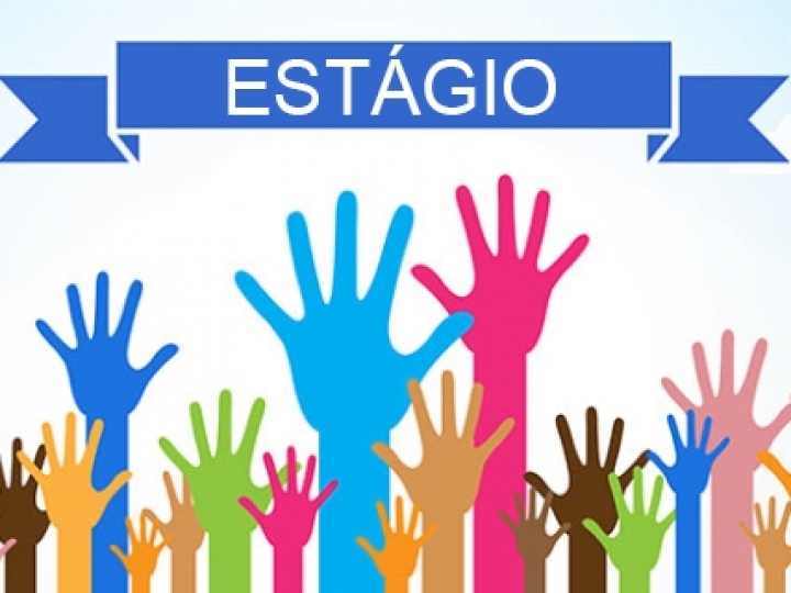 VLI abre, nesta segunda-feira (24), seu Programa de Estágio 2023  