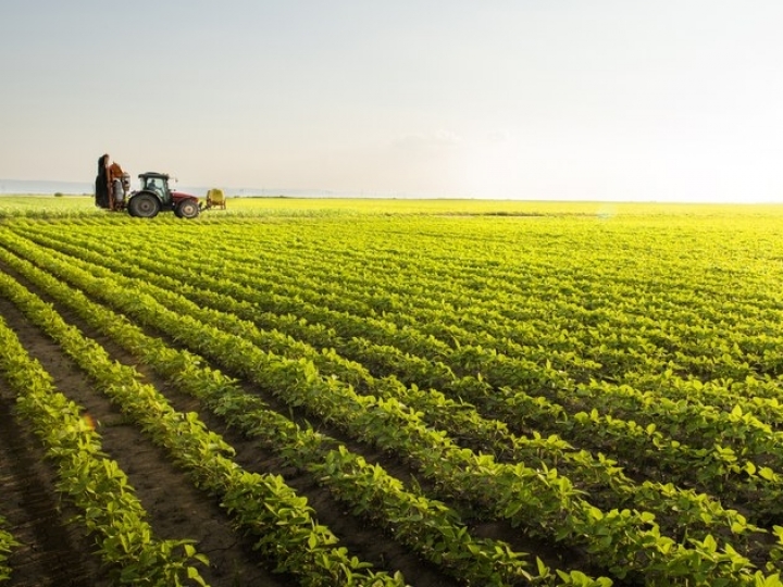 Valor da Produção Agropecuária de 2022 é estimado em R$ 1,188 trilhão