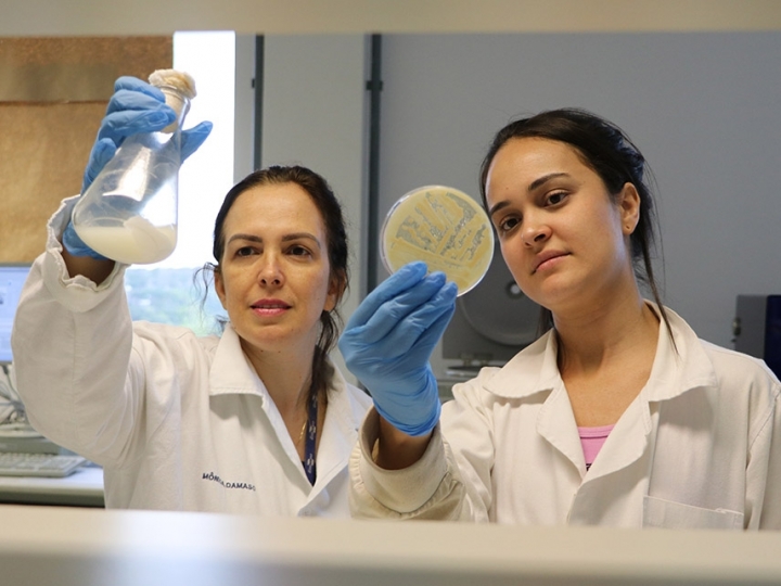 Rotas tecnológicas: pesquisas com álcoois e soluções de base biológica