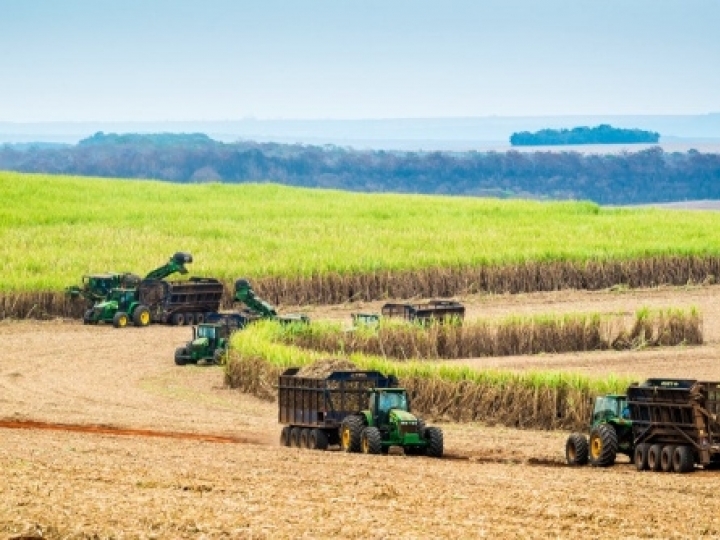Moagem no Centro-Sul atinge 516,79 milhões de toneladas  
