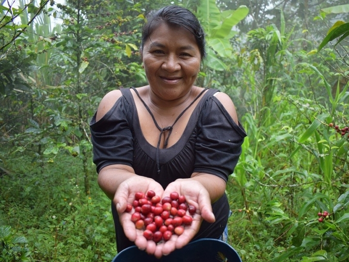FAO realiza o Encontro Latino-Americano e Caribenho da Década das Nações Unidas para a Agricultura Familiar