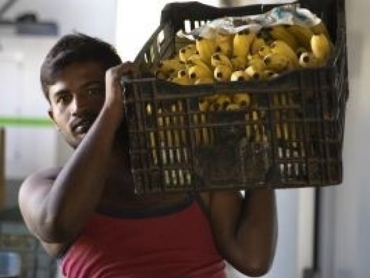 Insuficiência nas cadeias do frio resulta na perda de alimentos que poderiam alimentar 950 milhões de pessoas