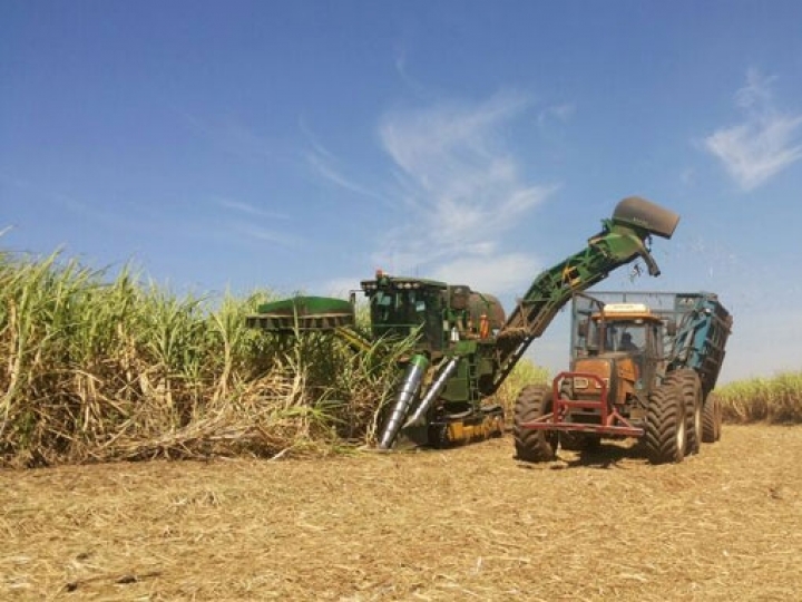 Na reta final, safra de cana no Centro-Sul registra crescimento de 7,5% na produtividade