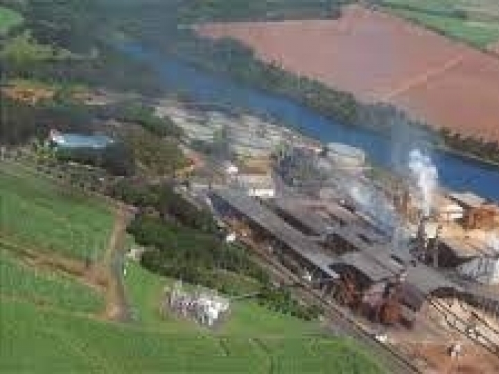 Colombo Agroindústria encerra safra com 15% de aumento na moagem de cana