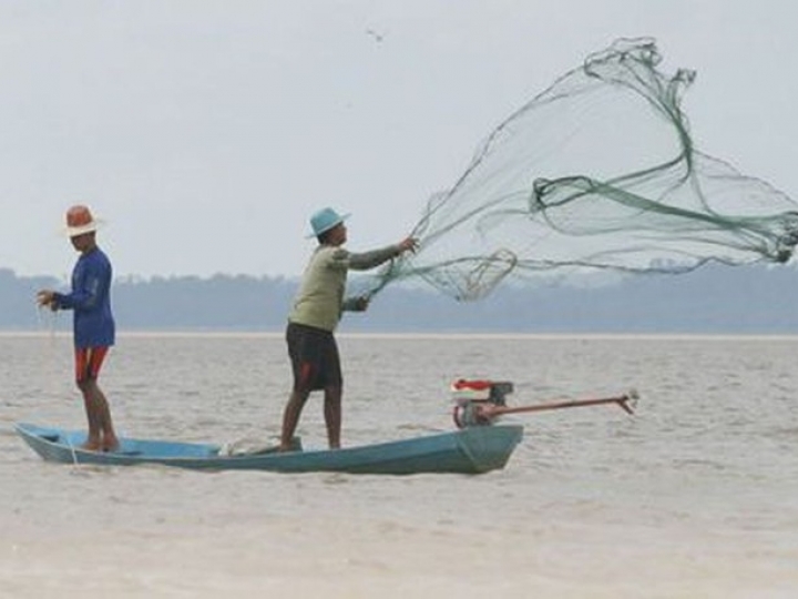 Conhecimento científico dos recursos pesqueiros marinhos brasileiros