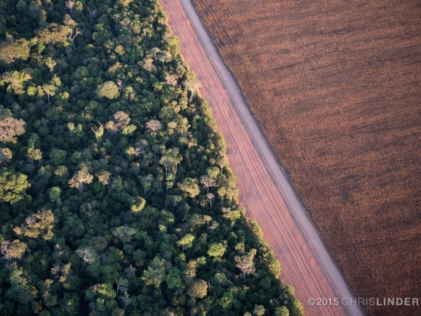 Imagem: Chris Linder 