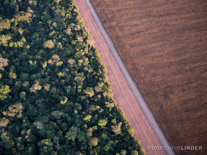 Plataforma digital vai medir cobertura vegetal no Brasil sob a ótica do novo Código Florestal