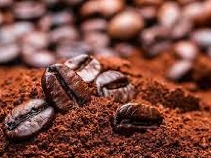 Conab indica a produção de 54,94 milhões de sacas de café beneficiado no Brasil em 2023