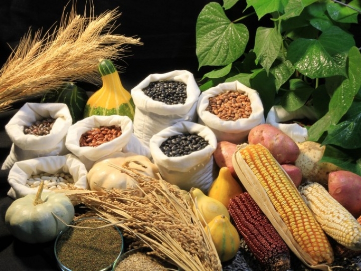 Novas regras para uso de sementes no país entram em vigor em março de 2023