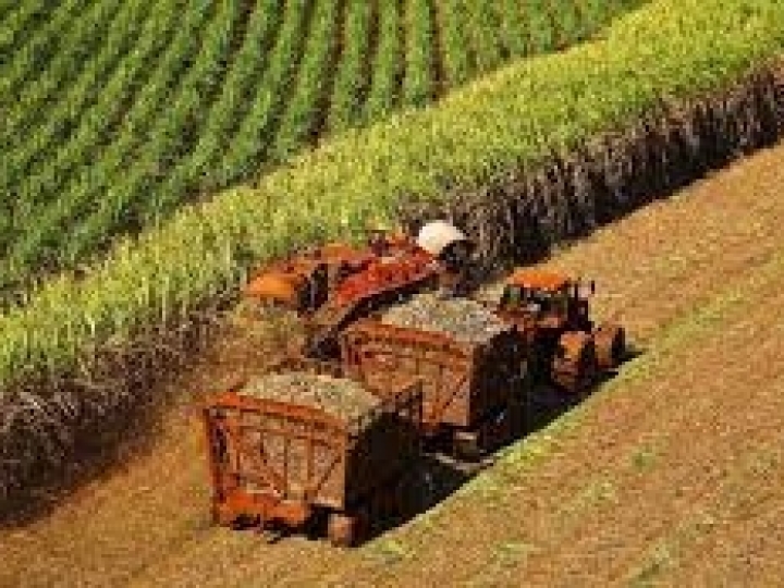 Moagem no Centro-Sul atinge 538,98 mi de toneladas 