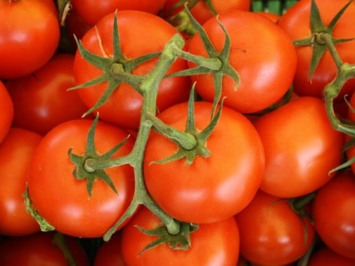 Frutas registram queda das cotações no atacado, enquanto preços de batata e tomate sobem