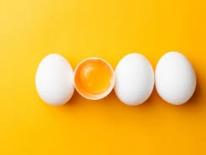 Exportações de ovos exportam  9,4 mil toneladas em 2022