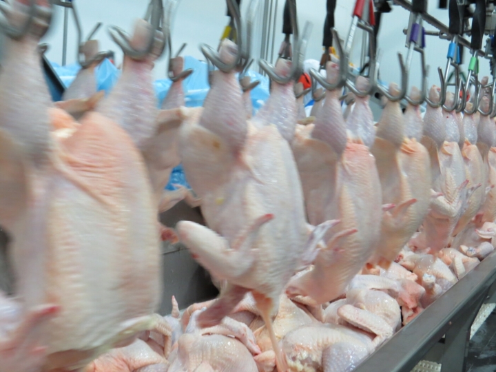 Brasil amplia ação na maior feira de alimentos do Oriente Médio