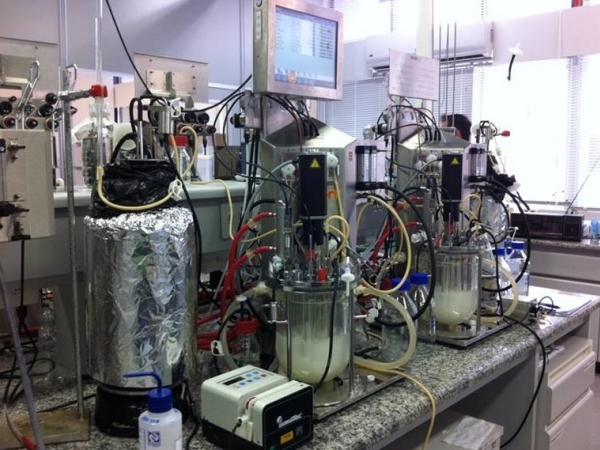 Grupos da Unicamp e da USP identificaram os genes que conferem à cepa industrial Saccharomyces cerevisiae SA-1 resistência a compostos inibidores da fermentação gerados durante o pré-tratamento do bagaço da cana. Conhecimento pode orientar o trabalho de e