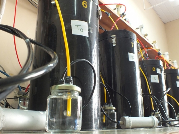 No sistema, 12 reatores funcionam ao mesmo tempo e em linha, com sensores de oxigênio e gás carbônico e controle de temperatura, de forma integrada. Foto: Alexandre Esteves