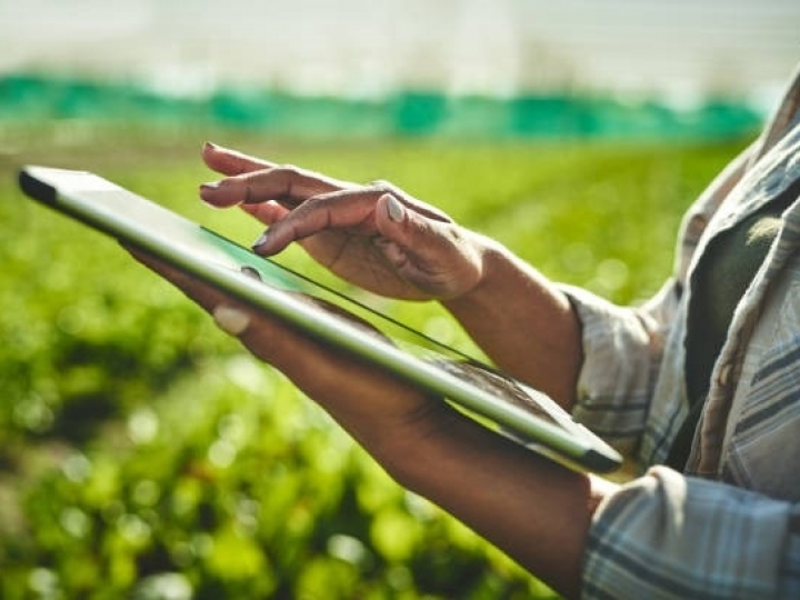 Mercado Futuro: Mentoria tem como objetivo auxiliar os Produtores Rurais no Brasil