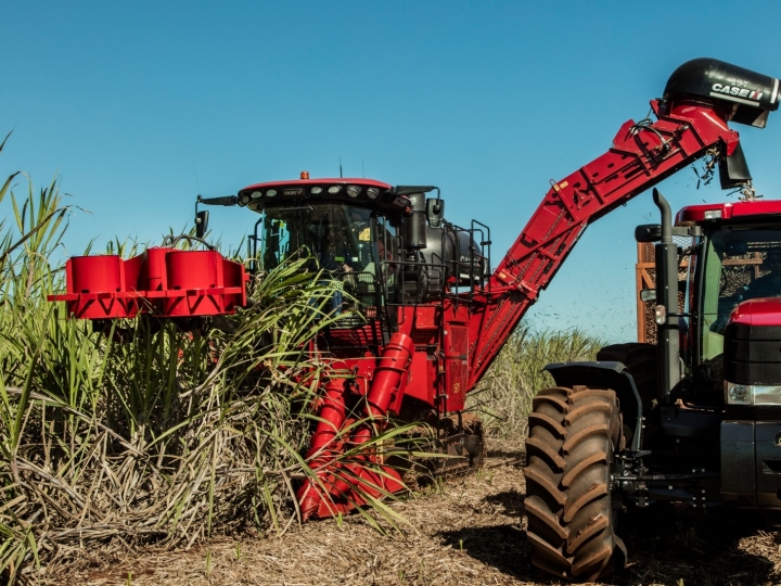 Produtores buscam mecanizar colheita para aumentar produtividade da cana-de-açúcar