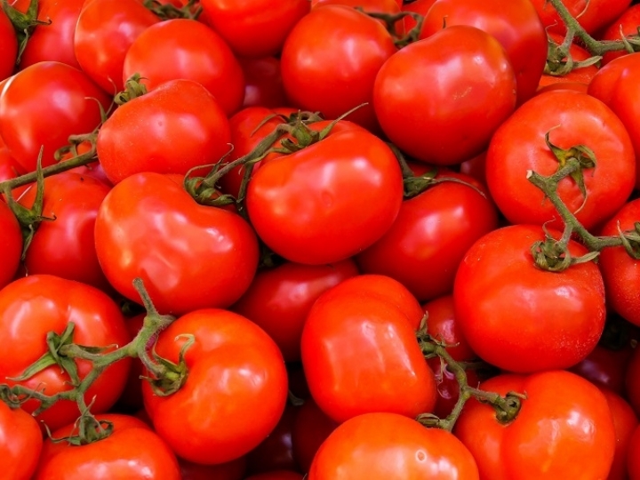 Dia do Tomate: Associação TOMATE BR traz números do setor