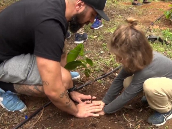 IB organiza evento público para comemorar o Dia do Cacau 