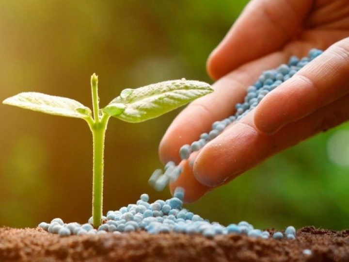 Entregas de fertilizantes diminuíram, mas supriram o agronegócio em 2022