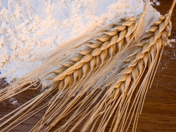 Farinha de trigo mantém compostos prebióticos mesmo após a moagem, aponta pesquisa