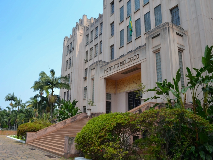 I Festa do Cacau no Instituto Biológico de São Paulo 