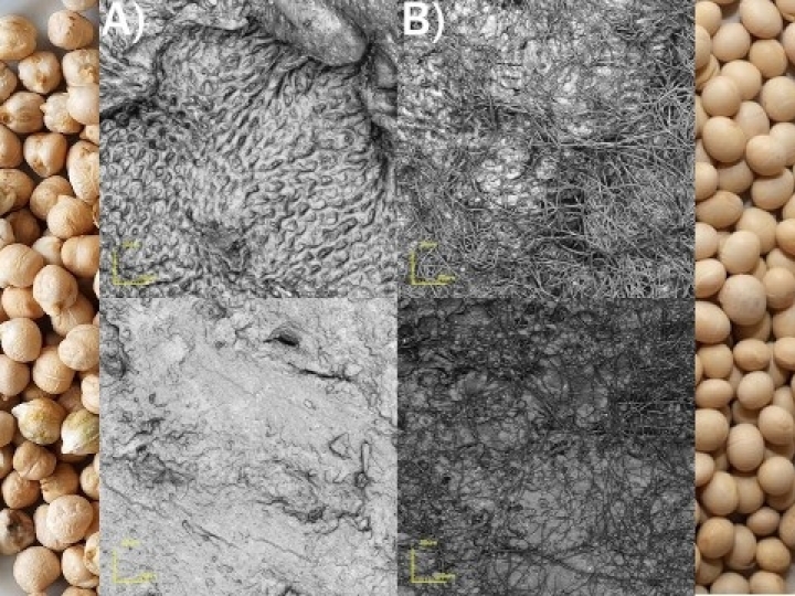 Spray com nanofibras libera nutrientes para sementes gradativamente