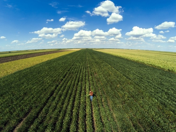 CNA pede suplementação de R$ 1,5 bilhão para o crédito rural
